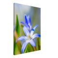 7c949084-35f2-425b-8da4-ec2034c581b1