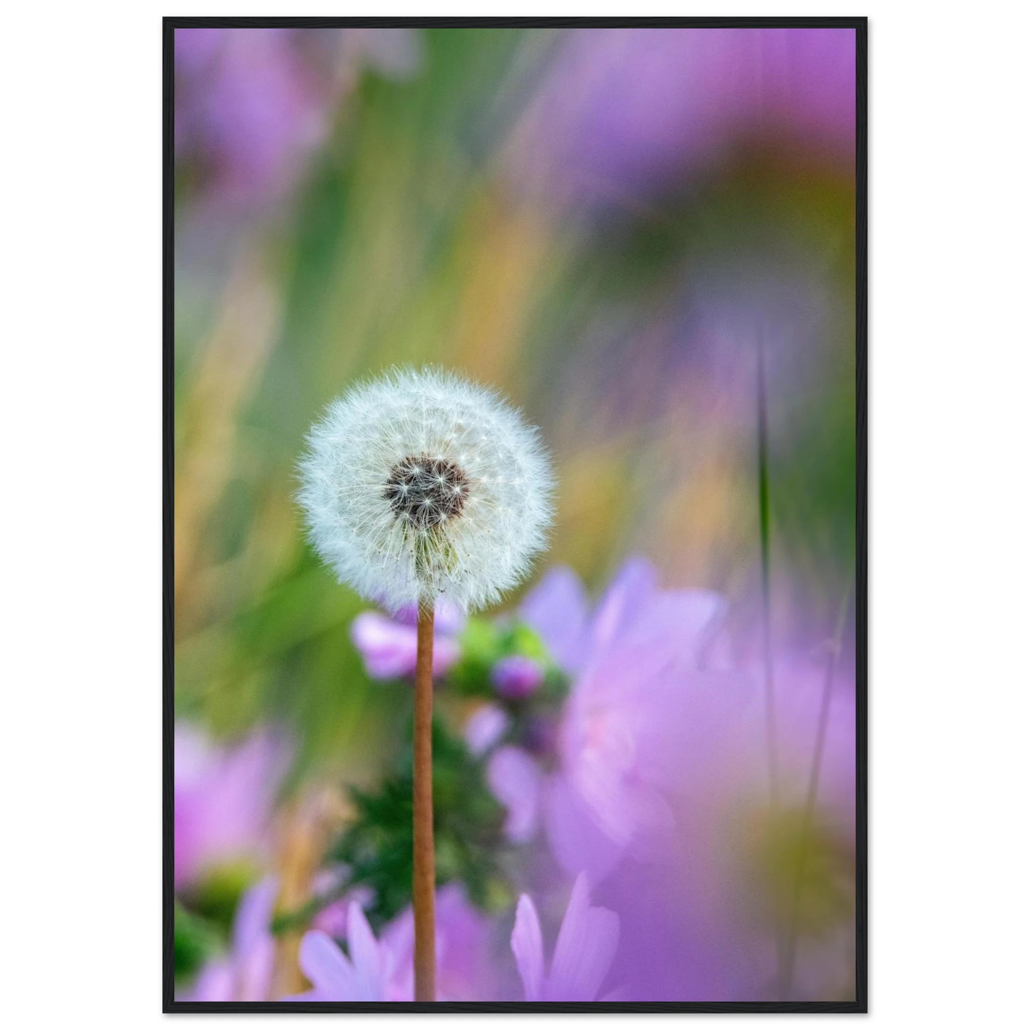 7d083e44-ab88-4b4b-a4b7-d16945eed5f1