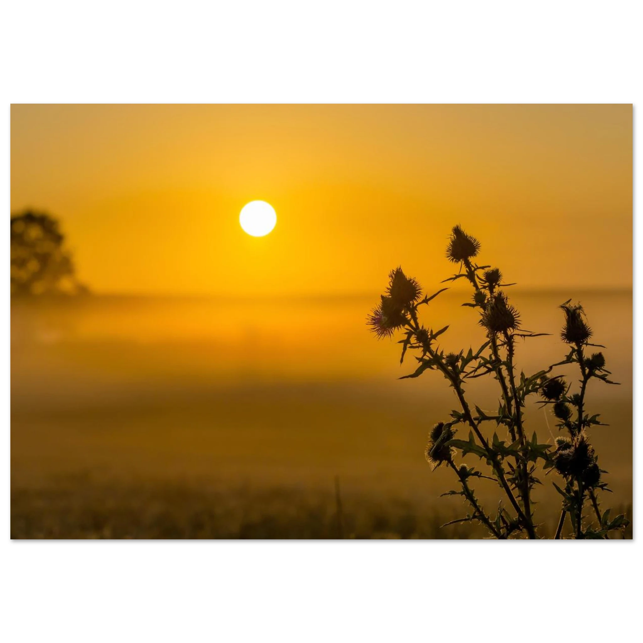 7db8ec65-8645-4f2b-843a-1c989664a11f