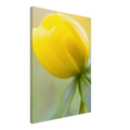 7e4a7e0f-29f2-406e-820e-df6c5a4492f7