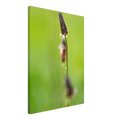 7e8b1dd8-ea12-49c4-ae70-4c07a2b837c5