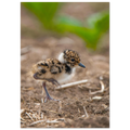 80198616-1d26-489f-b47e-cbd60df46c8b