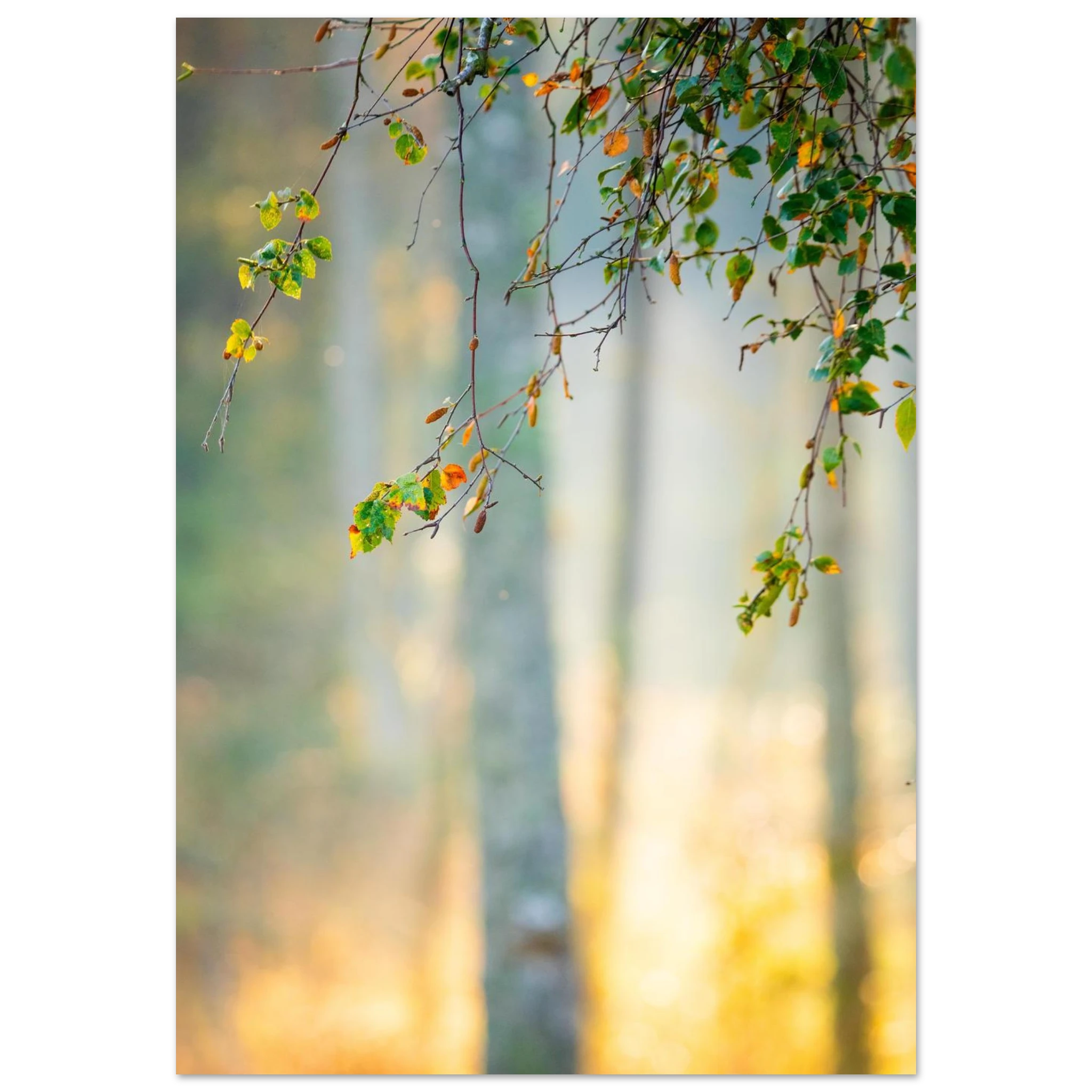 80654a7c-ffbb-4aab-a7a6-c41da98cfdd6
