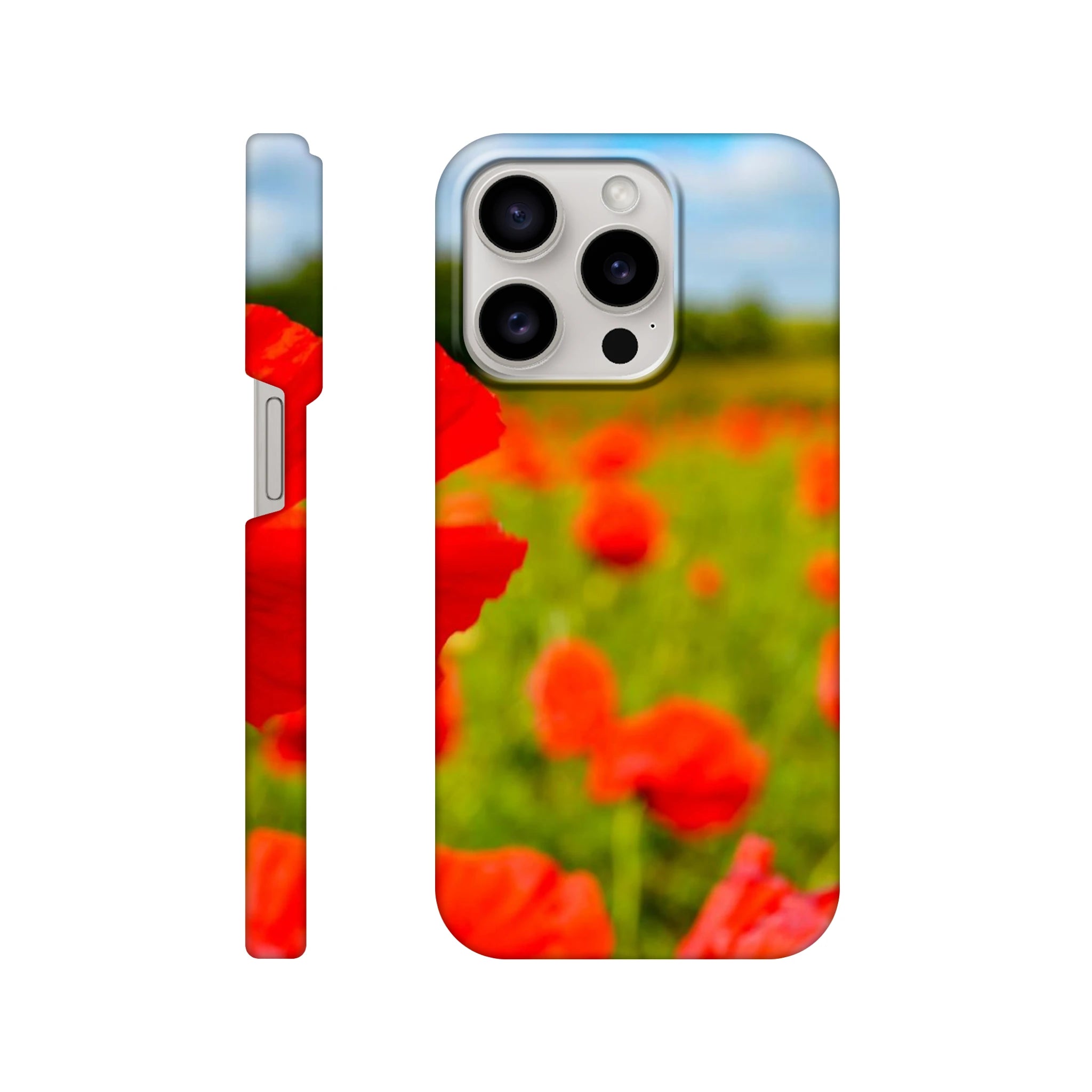 809cd374-a473-41f1-a3c0-8e7cfce6df46