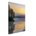 8225bcb0-28b4-4ad9-912f-b7941ca396c9