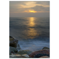 823200e7-e176-4701-a71a-9e81966b8a75