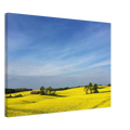 82bf2517-4acc-483e-bccf-e18c69451388