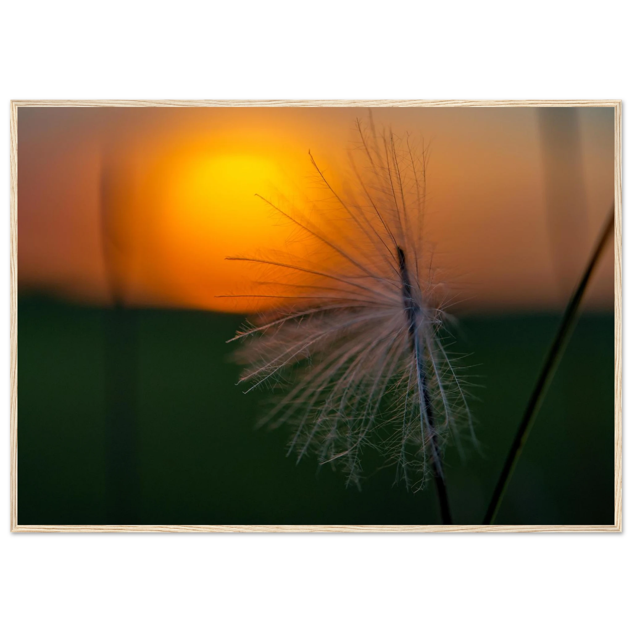 8369d5c4-e378-430b-8fe3-e33487c0069e