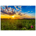 83857128-9d40-47ab-9543-2b2ccee5b8a8