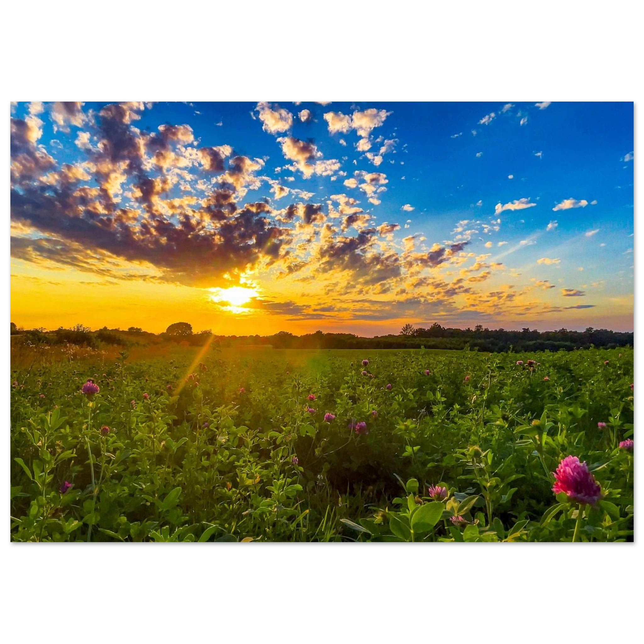 83857128-9d40-47ab-9543-2b2ccee5b8a8