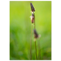 843f6774-d521-4b53-94af-29d273f95ac0