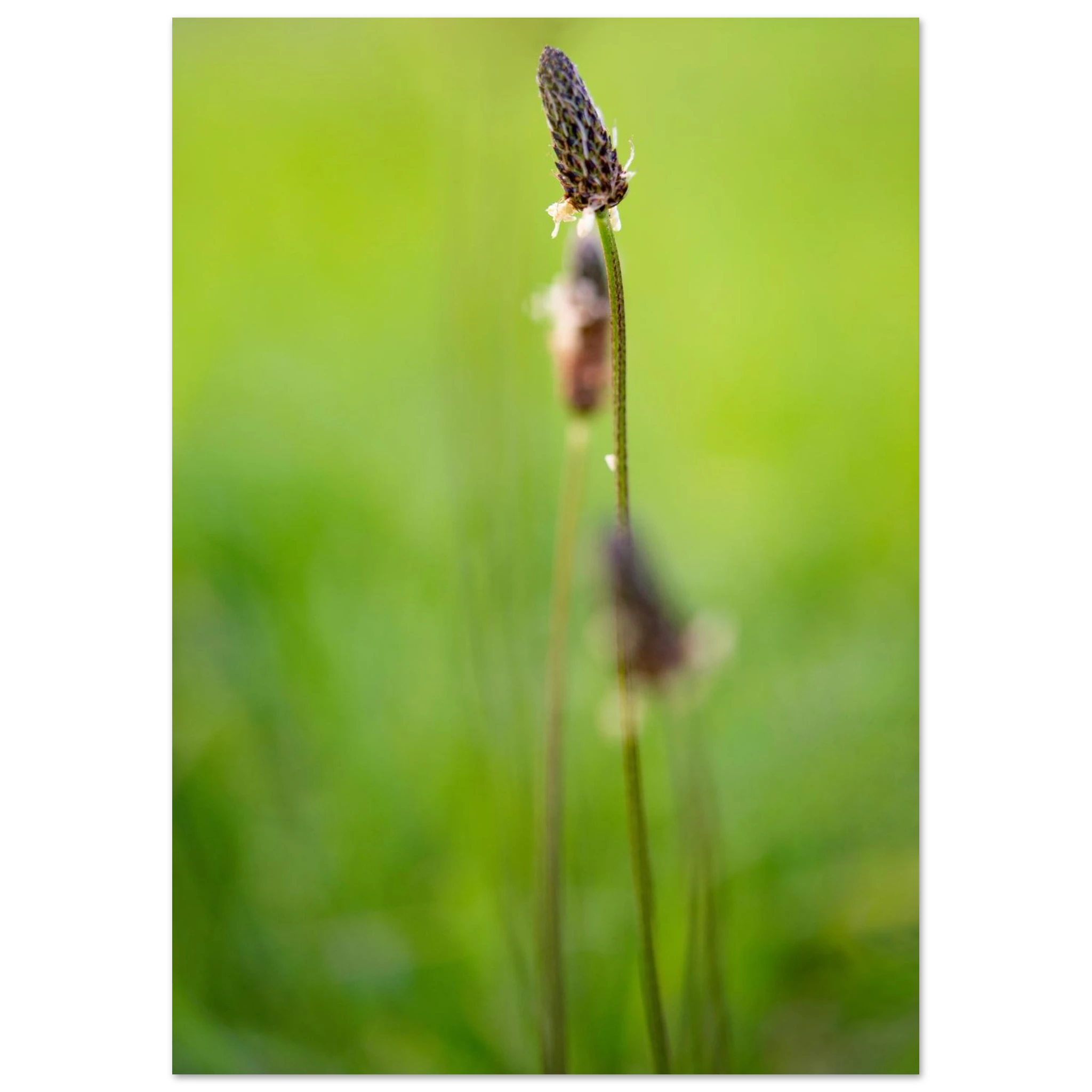 843f6774-d521-4b53-94af-29d273f95ac0