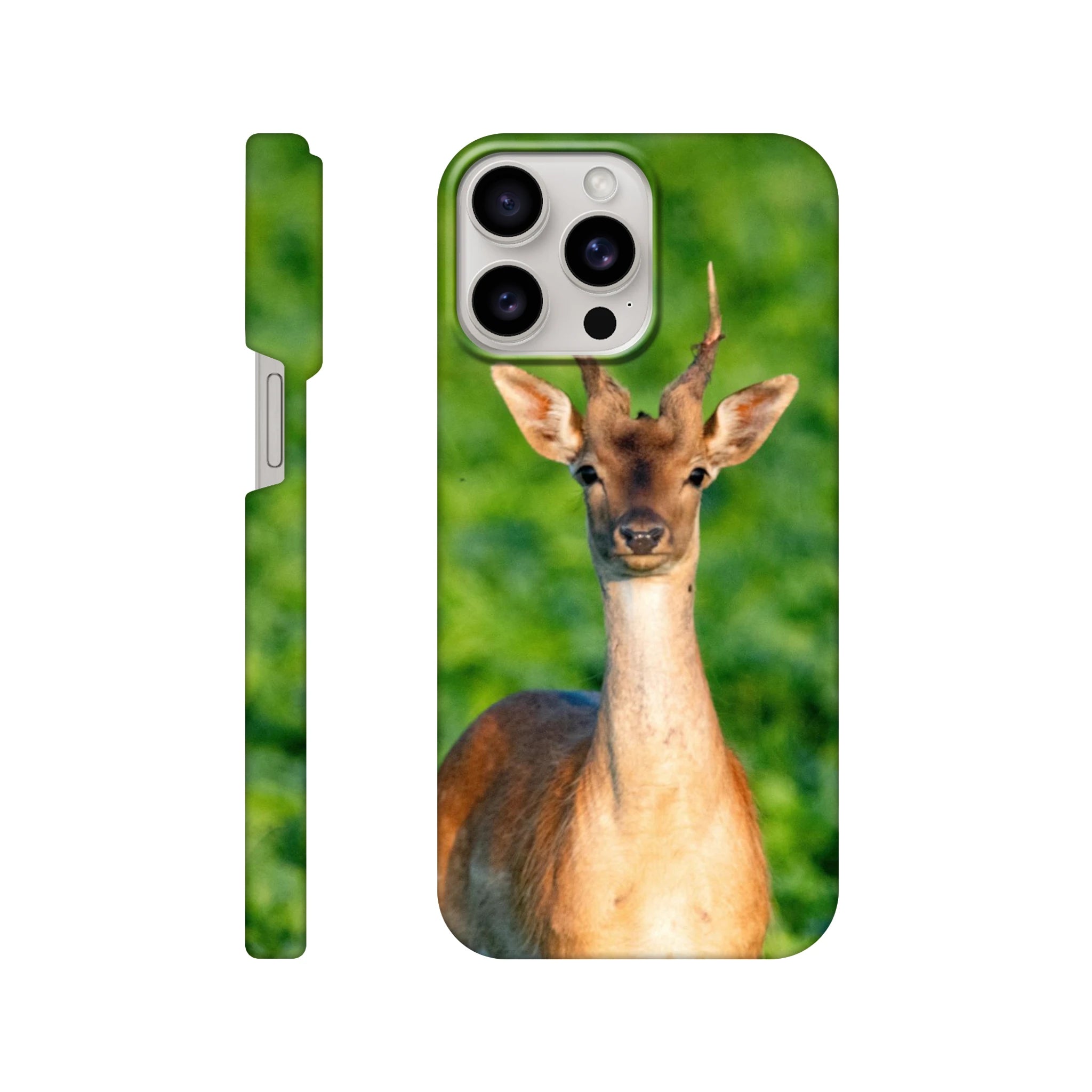 8523f339-1c99-4e4c-90ef-5edc9340bd53