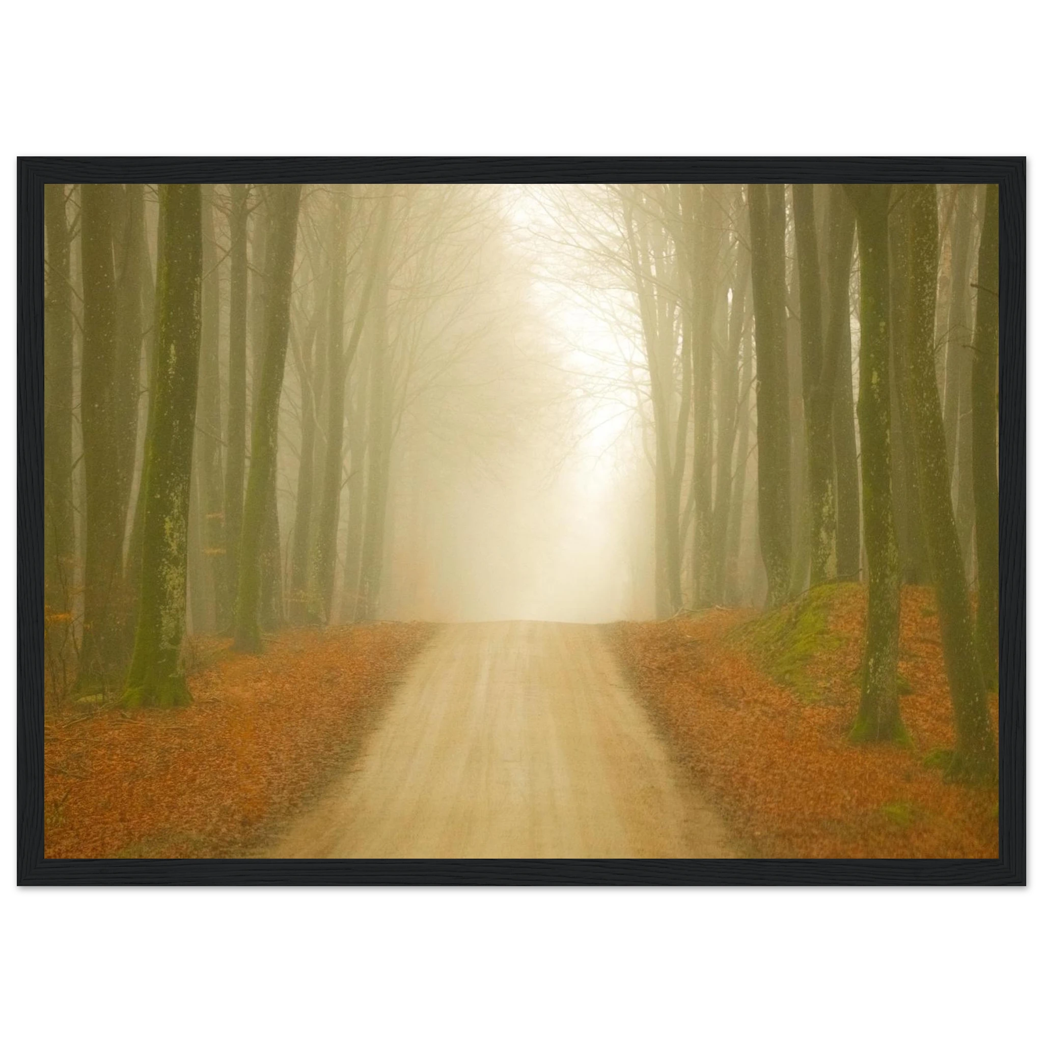 8563a21e-3743-4ca9-aaa4-cf9823cc8af6