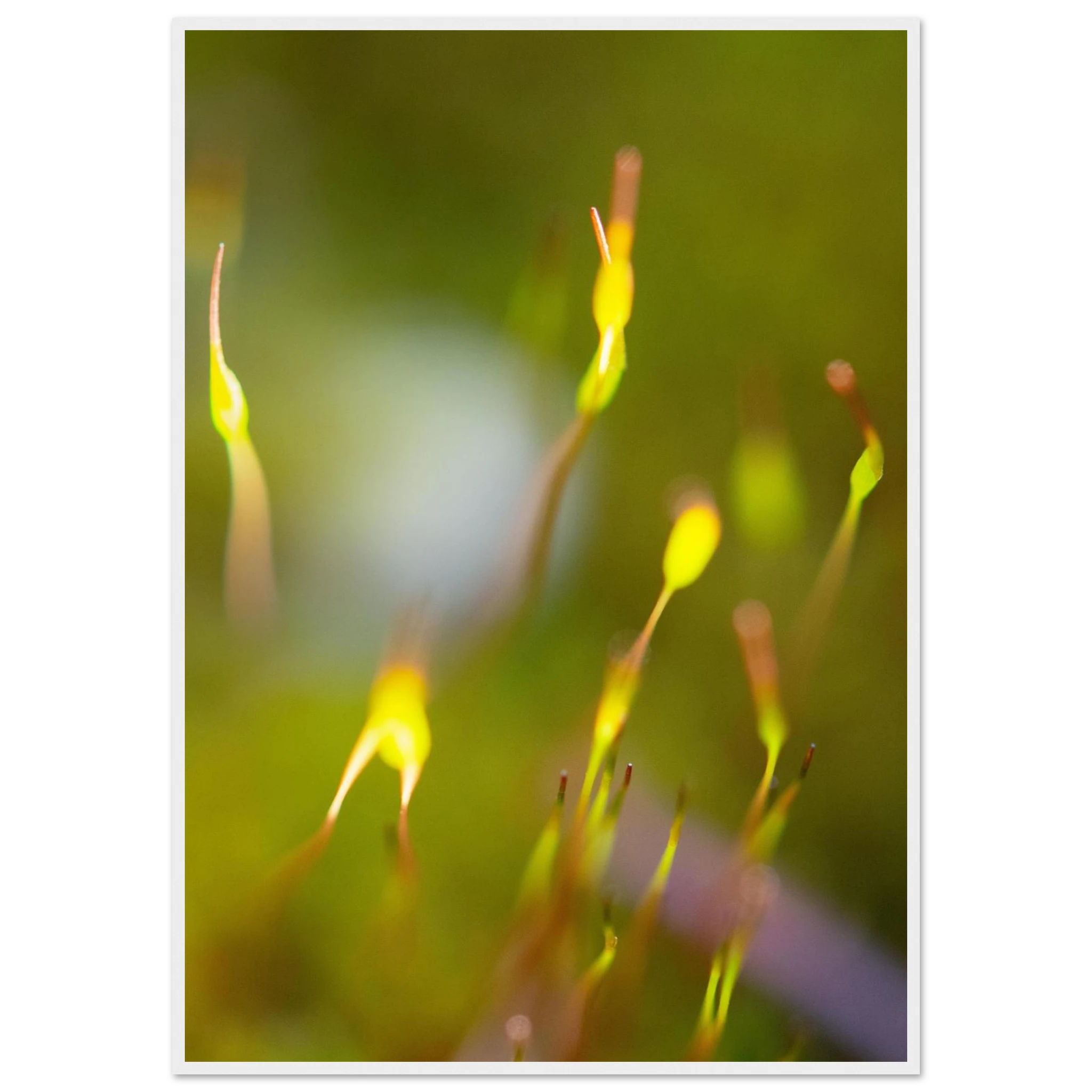 86326d89-892e-44e3-9c80-37b2bc56f303