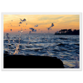 86b13ea2-3701-48bc-9e6c-11f134450294