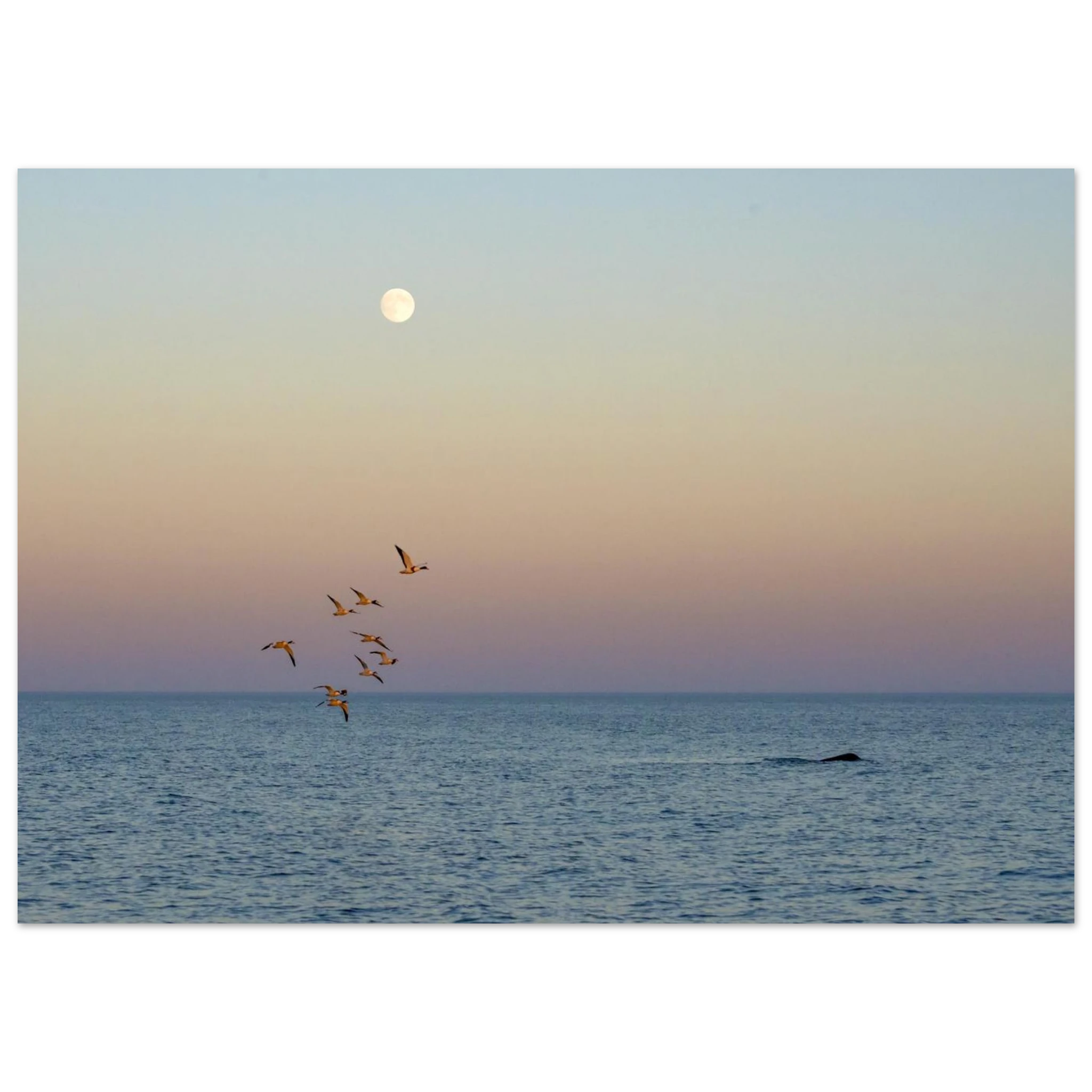 87d48478-b99e-4fc4-bae5-883b20f0766e