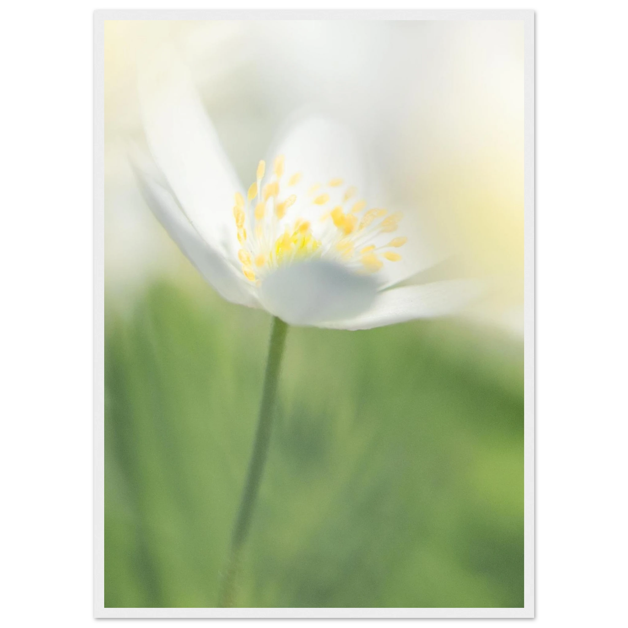 894127c9-aff3-4b89-b670-d3fc519a1e0a