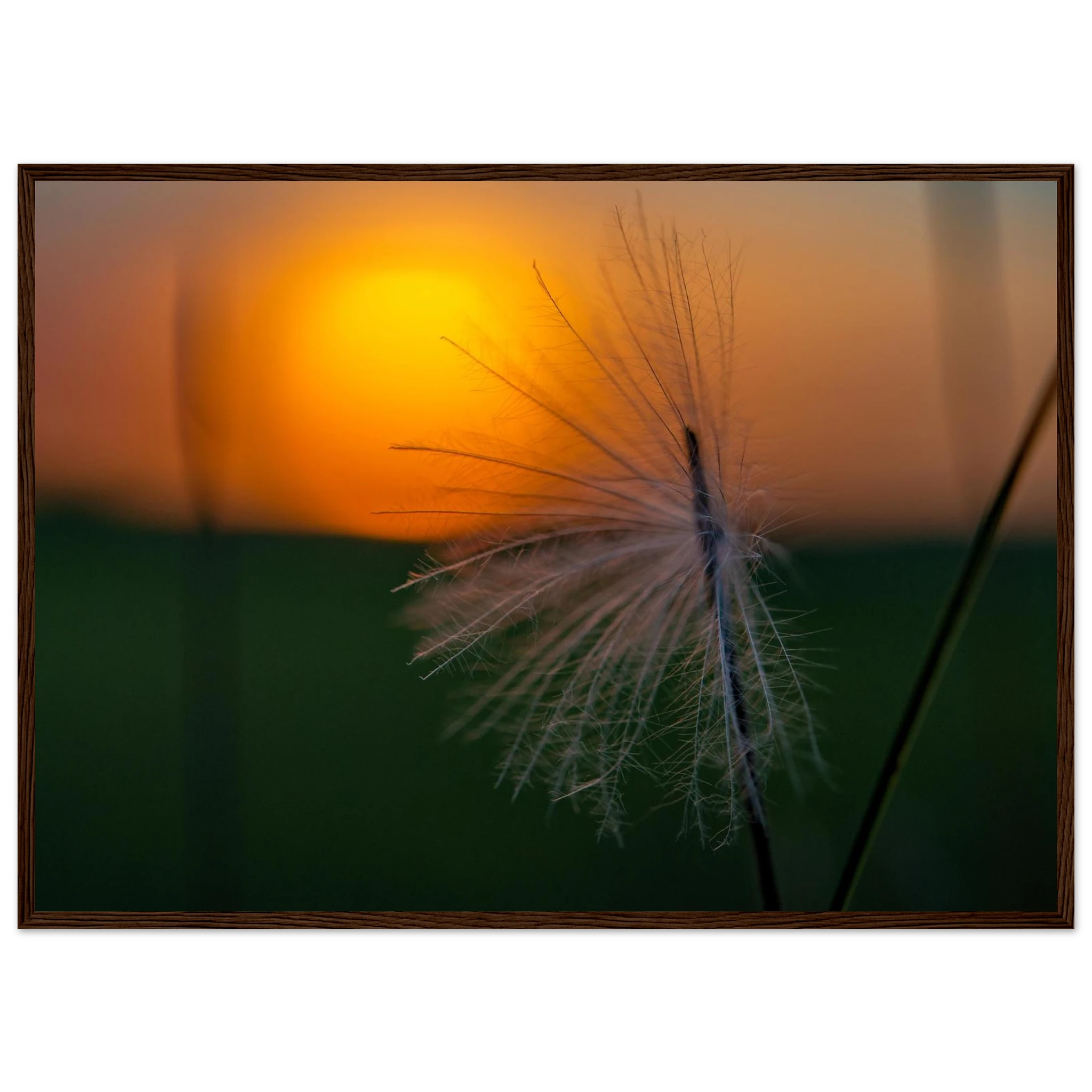 8a6d28bb-137d-4d0b-b9fc-7d3a985ba022