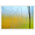 8a91746c-88d0-41a0-b67d-f20c437723b9