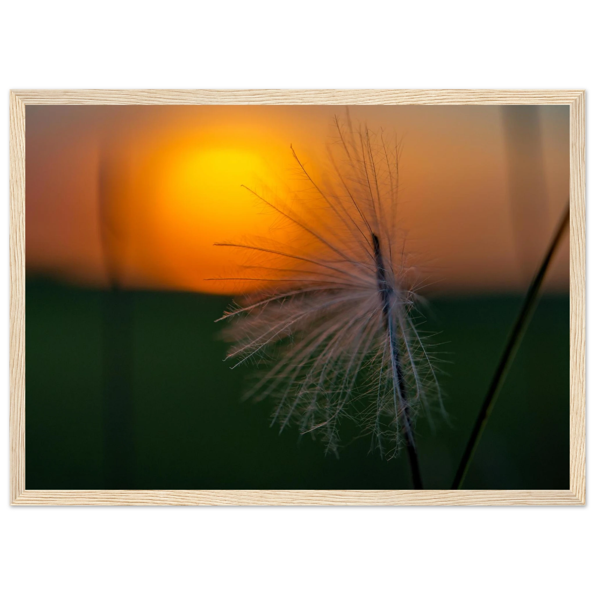 8b5b3e48-7b42-4231-a8fa-5fb3a739c0cd