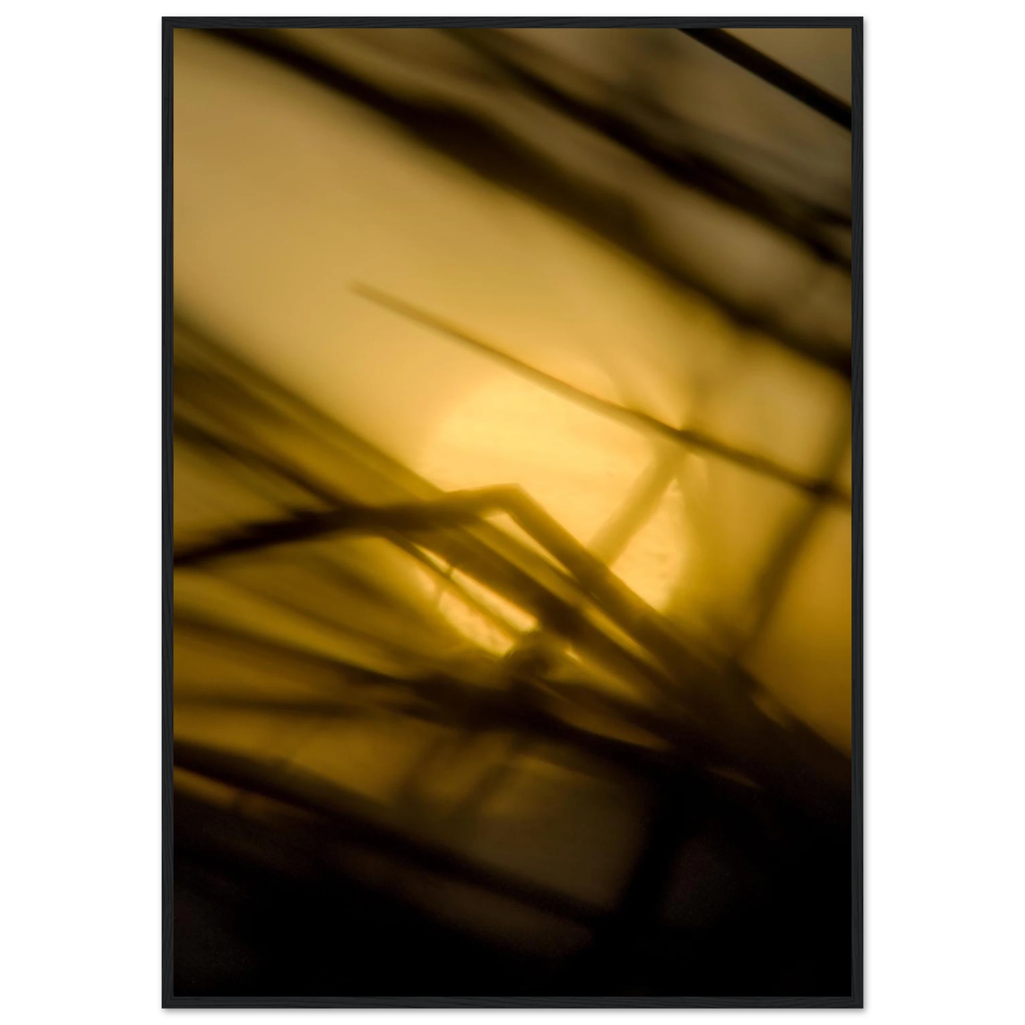8bd28c09-eb73-4f18-b3a5-76f067a06024