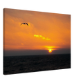 8be87ae4-255f-4744-b7e5-8cc412b92f6f
