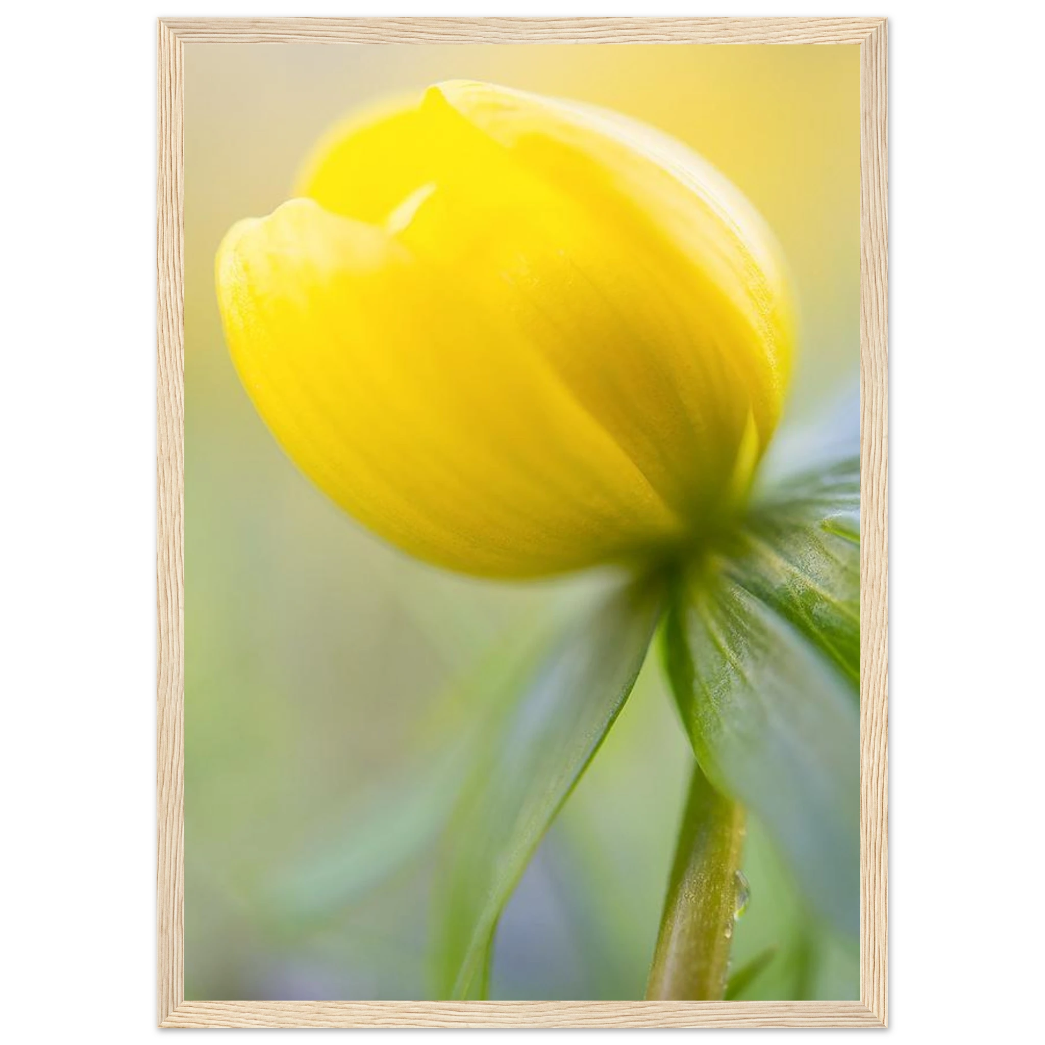 8c1f638f-f449-4106-9d09-e28e59501ce5