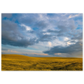 8c56d680-551b-47cc-8604-a4d26f942c8f