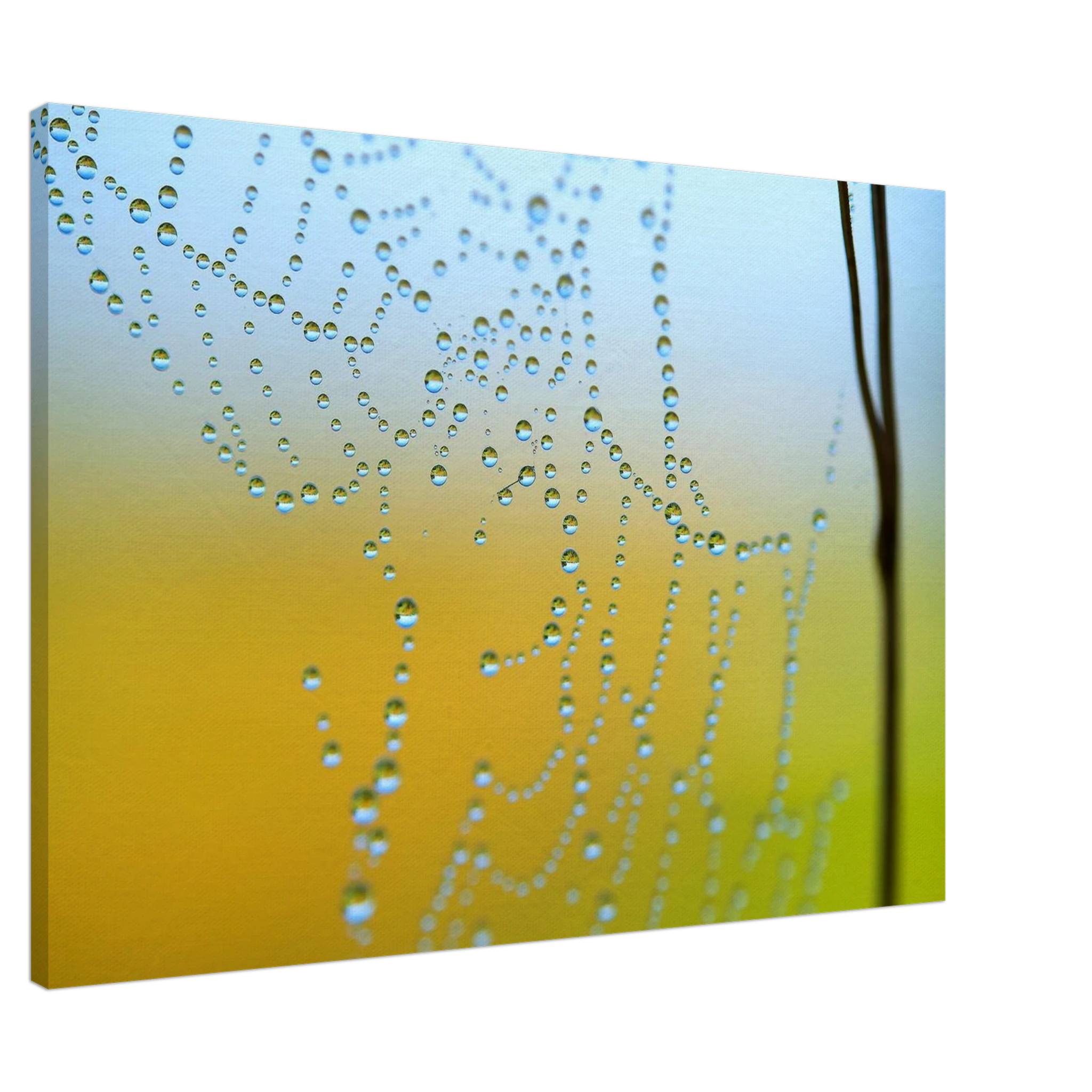 8c83f4cb-12fa-4a29-94da-ba0b64cc355b