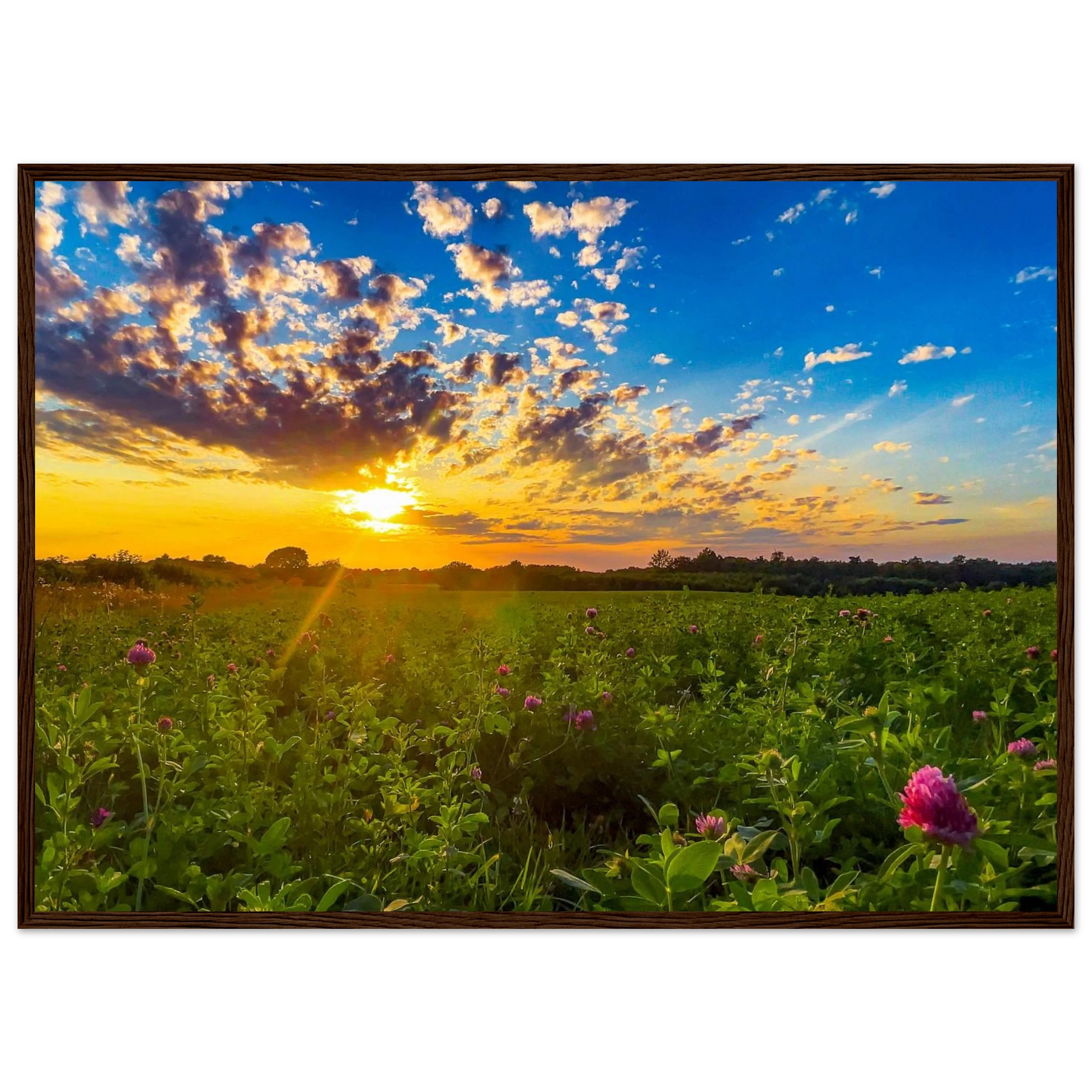 8d90f661-abee-4ea2-a4c9-b1300c2496e9
