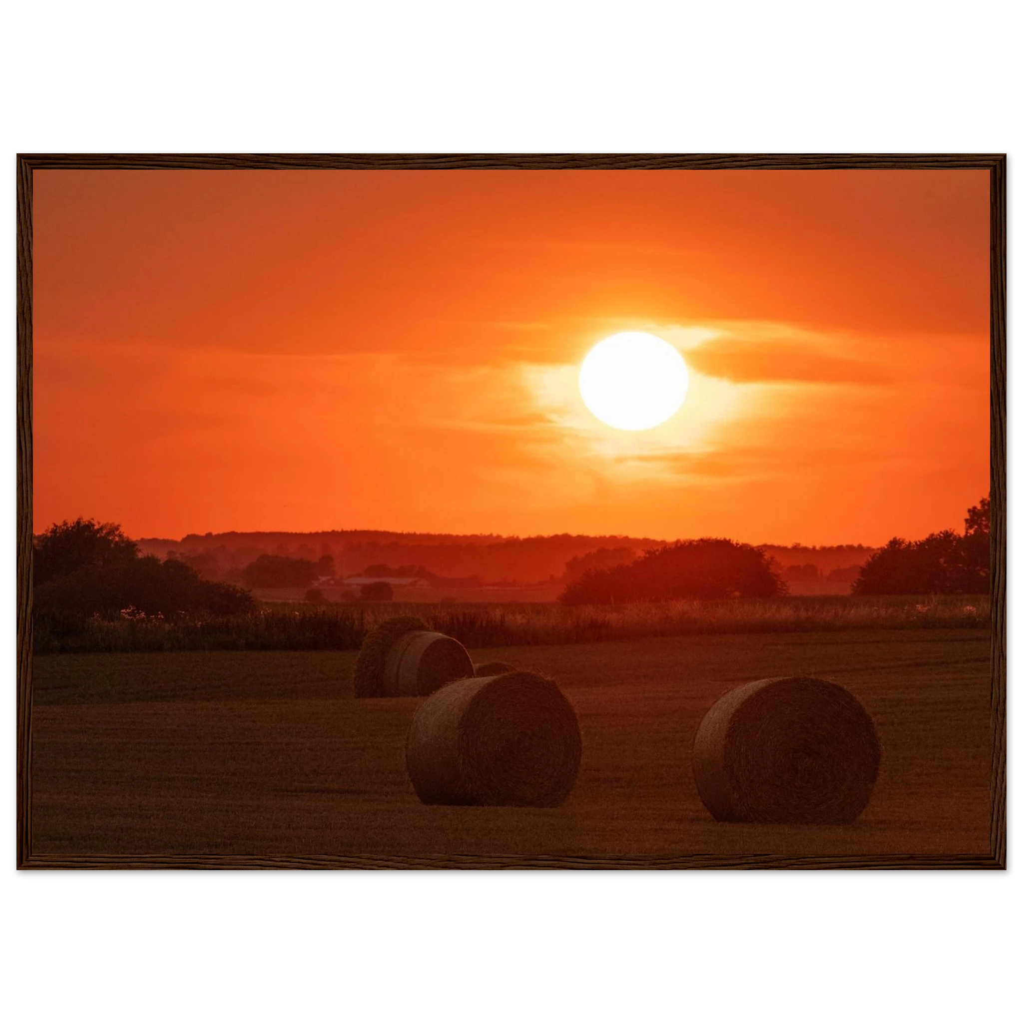 8deec15d-1573-4640-994f-d90b67053511