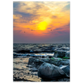 8df925e1-f5ab-4620-adf1-b6d2b57522a9