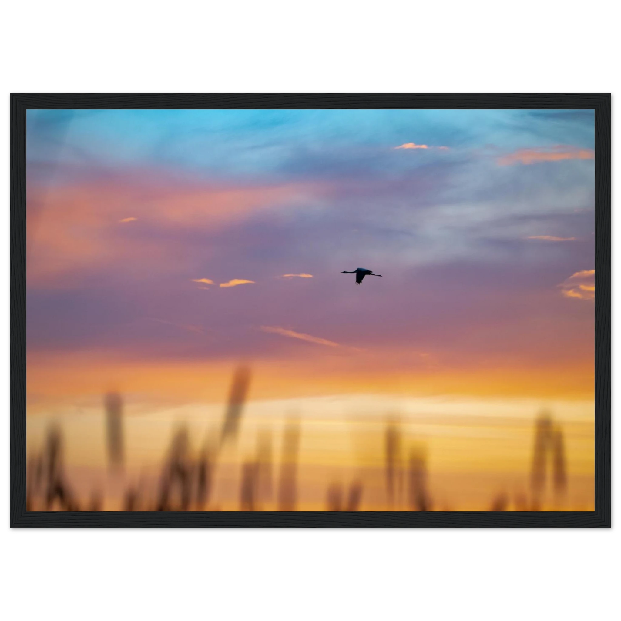 8e2da7bc-f9b2-4c19-9126-f317b7f5a468