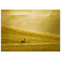 8e336865-d6cc-44ea-9827-59a687d4d31e