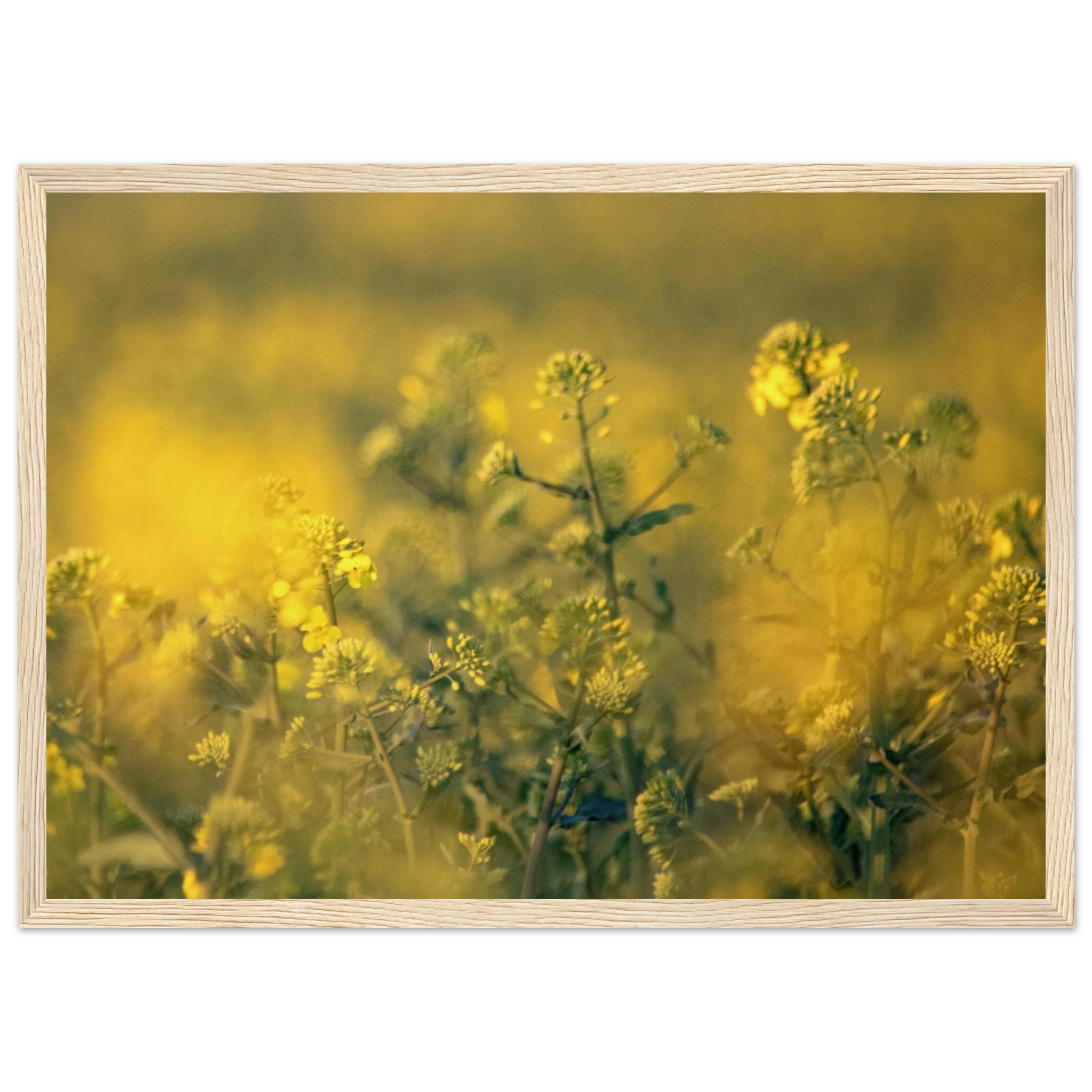 8f177378-c6ee-42f6-b768-6340dfa19edb