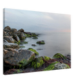 9069addf-cff6-4327-9b13-8a439db9c42c