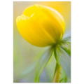 909b248f-cf1c-4d44-ad9c-6638f181847e