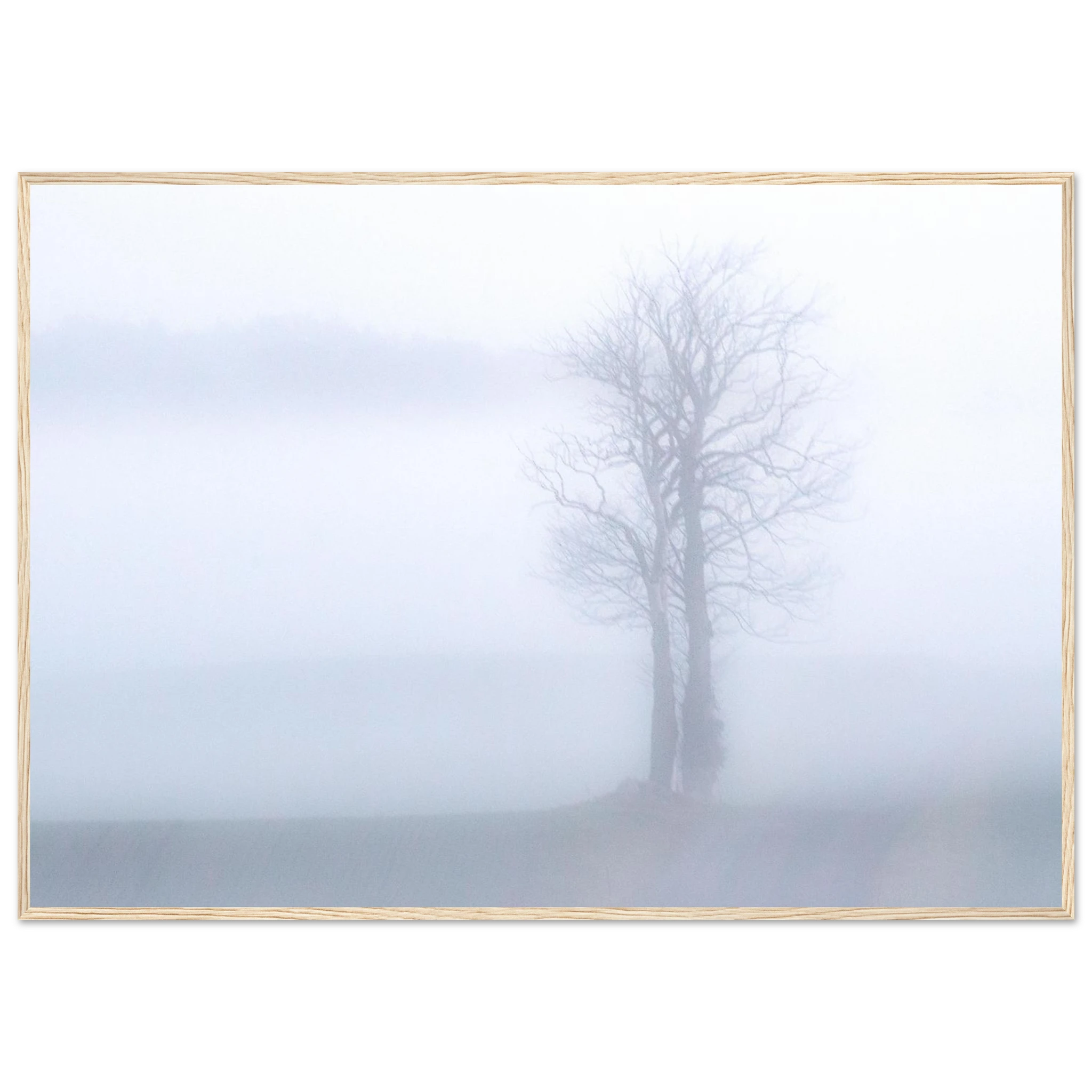 90aa57af-d9e5-48a7-b71d-5ca71e38e18c