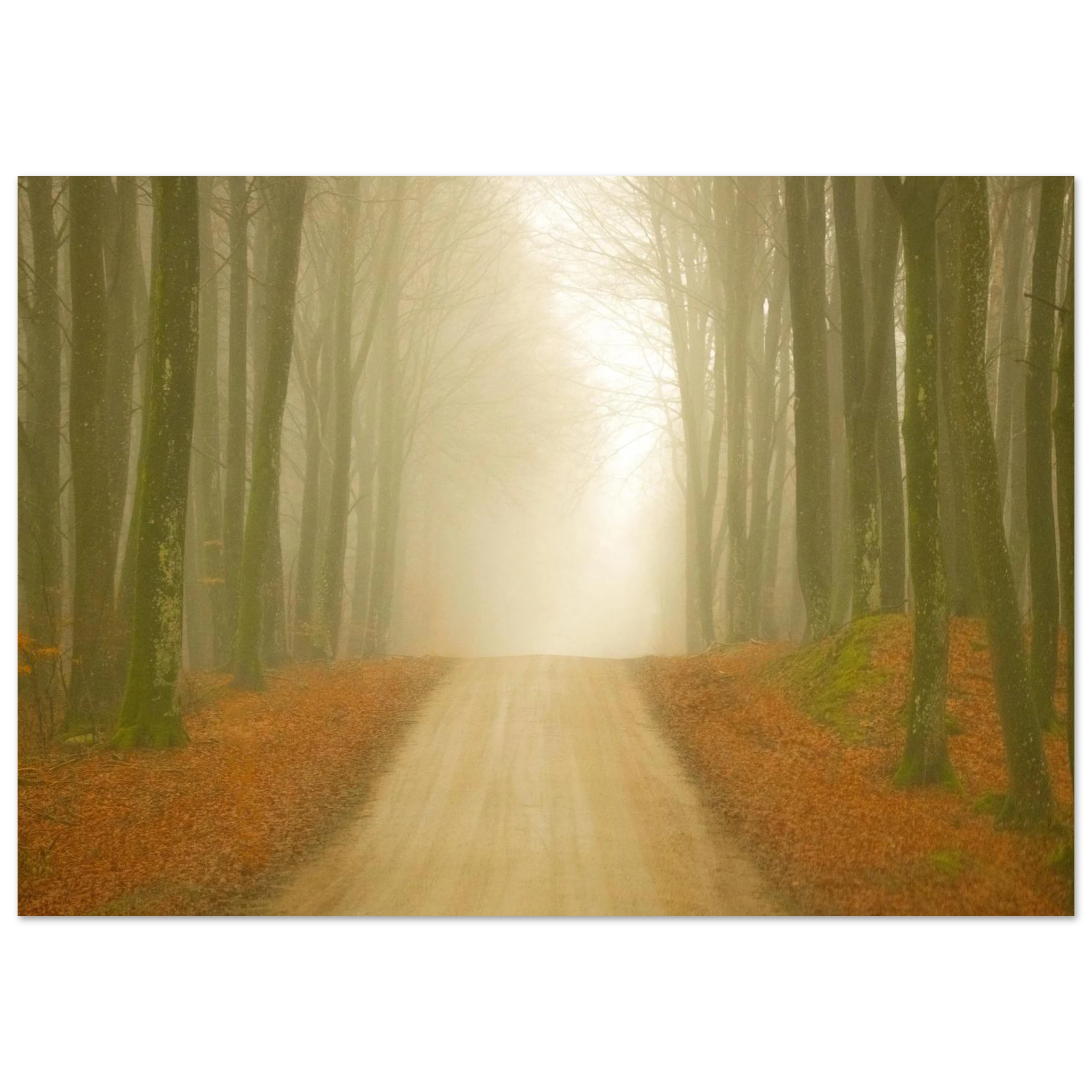 90b0f776-2dba-4785-9bb9-393bc15d46bf