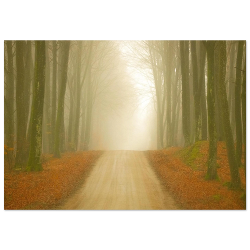 90b0f776-2dba-4785-9bb9-393bc15d46bf