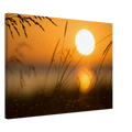 93e4abb0-d734-41cb-9d19-1f719f19eb99