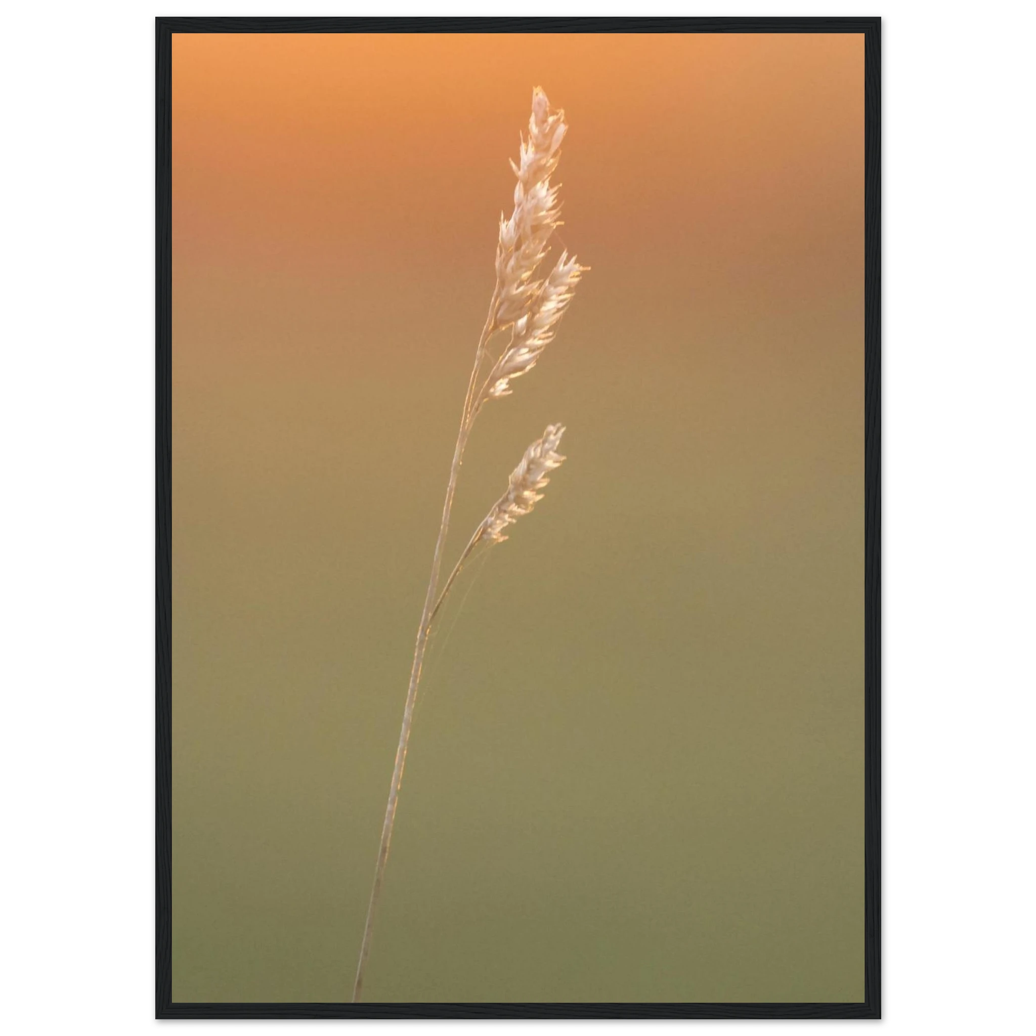 949bf050-2020-4282-a8b8-fe84f4573e1f