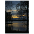 955c9809-85f9-40f4-b1d8-a565b5739812