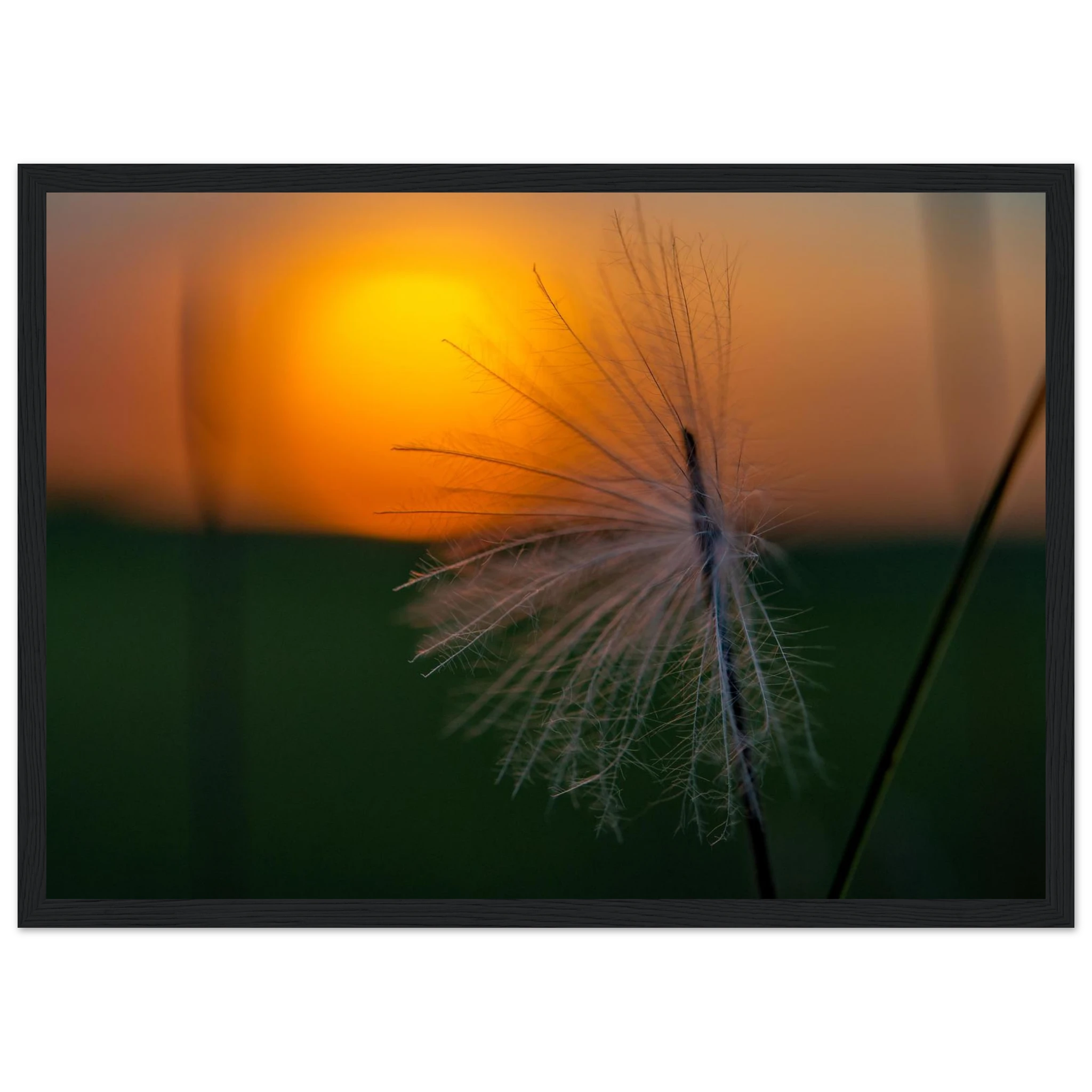 9560373d-1f35-46cc-9507-7c0c708f7d08