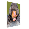 9a644882-d9ba-49c9-8526-dcde9880f534