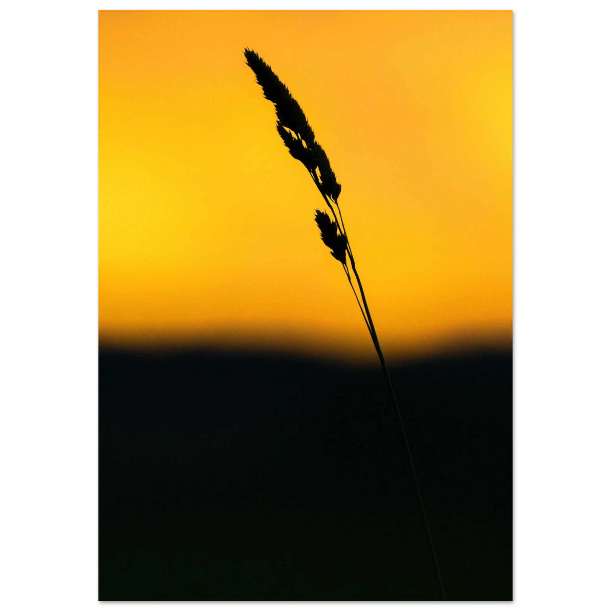 9b23f869-d559-4a79-a0f2-6cac7199ce78