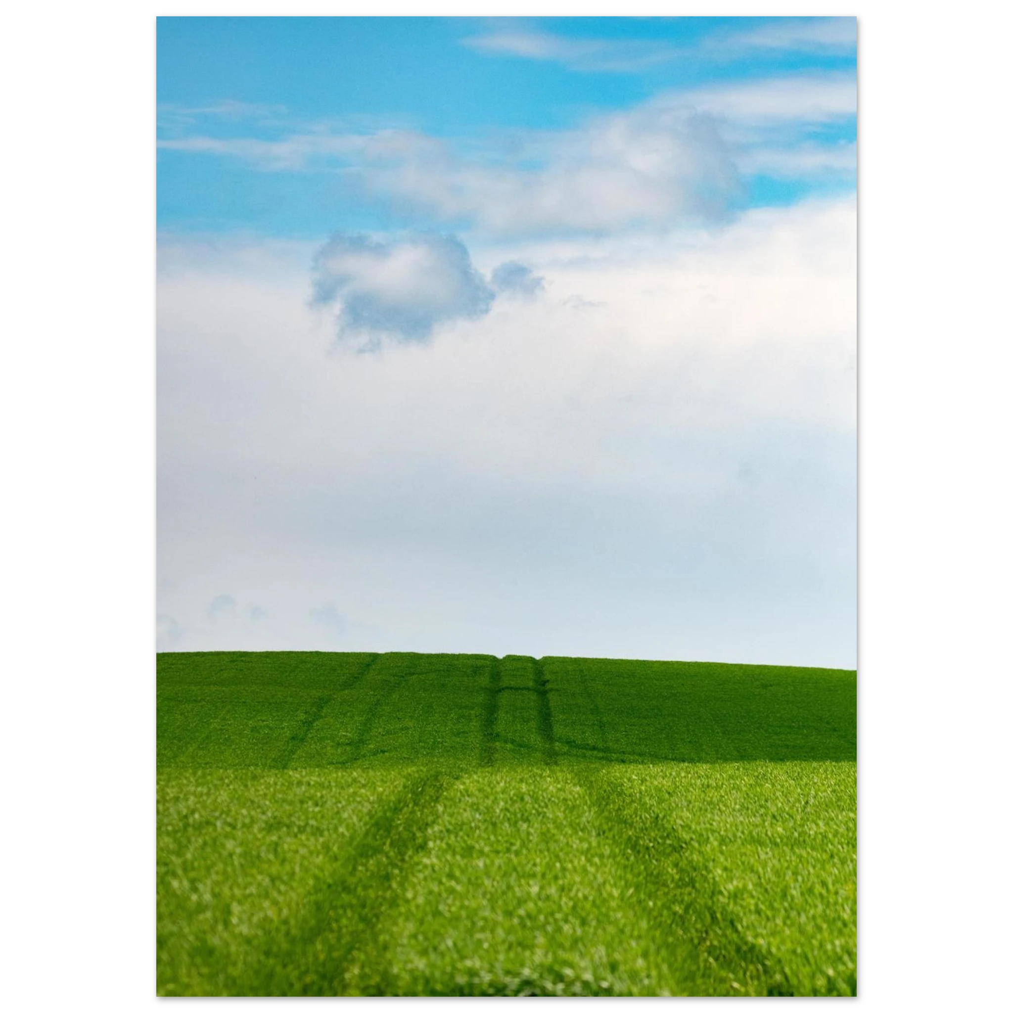 9b415298-3ee9-4ff5-812b-afe04db345c8