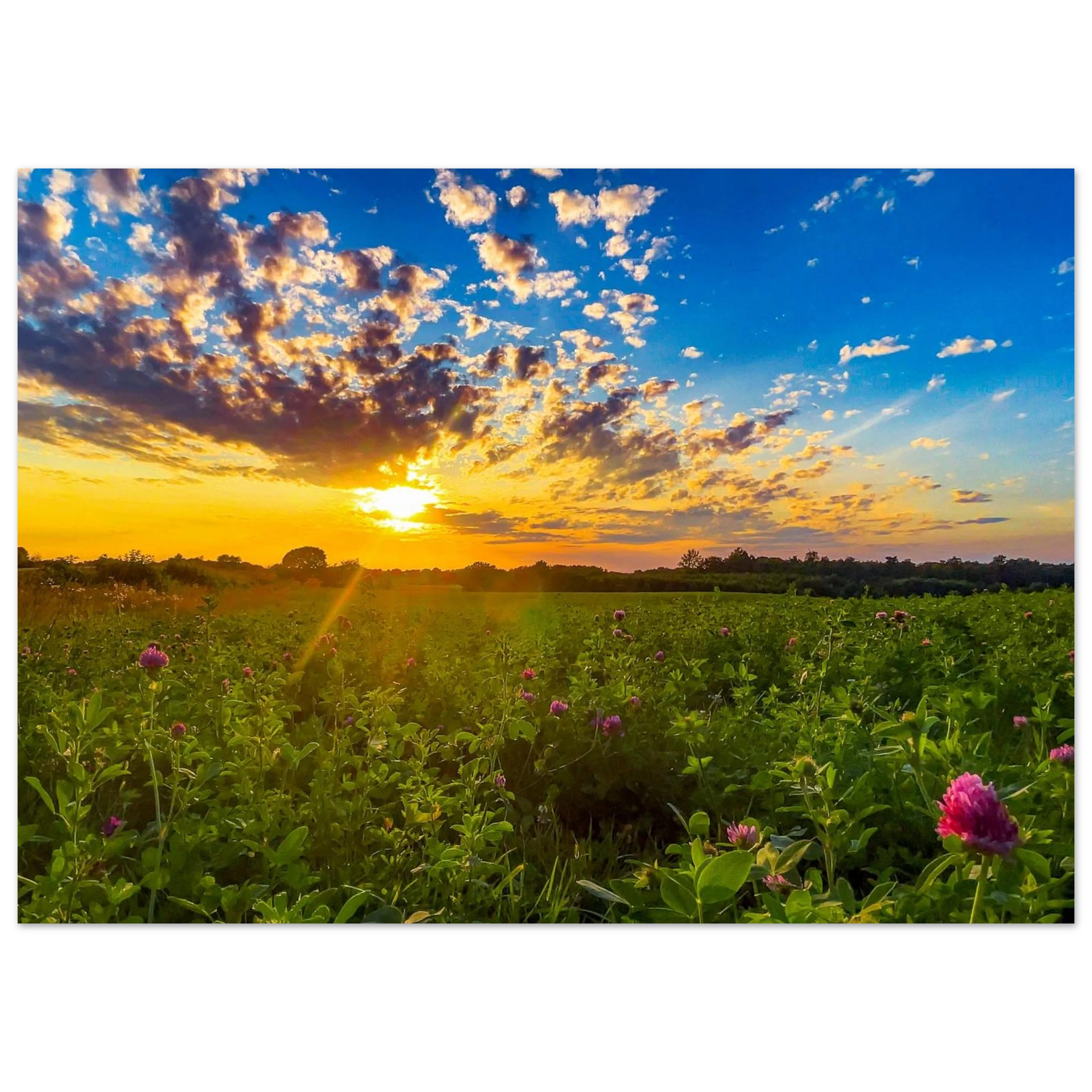 9b4a11f6-a033-459a-89e3-cb4f989ae5cc