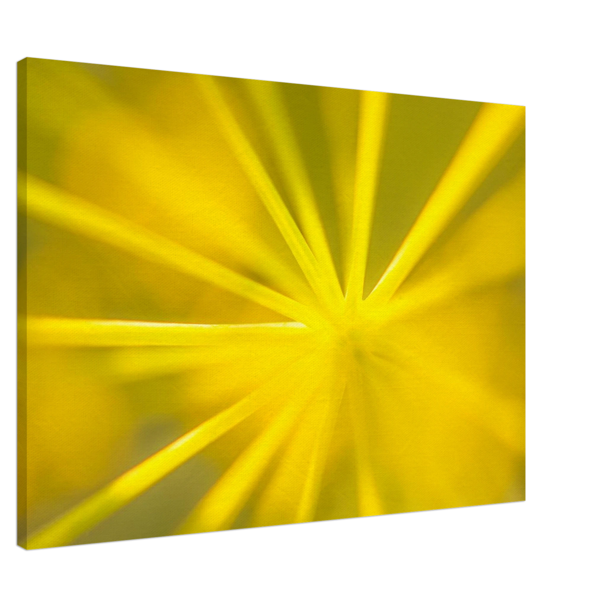 9c79751c-bfec-454f-a96a-392628579deb